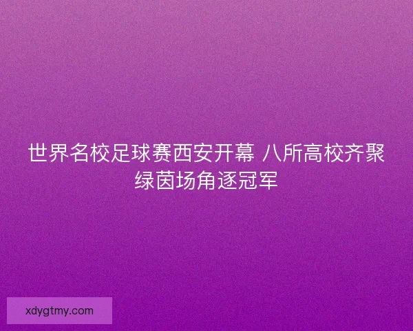 世界名校足球赛西安开幕 八所高校齐聚绿茵场角逐冠军