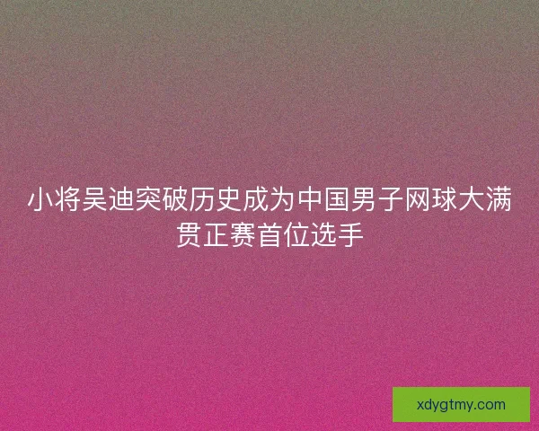 小将吴迪突破历史成为中国男子网球大满贯正赛首位选手